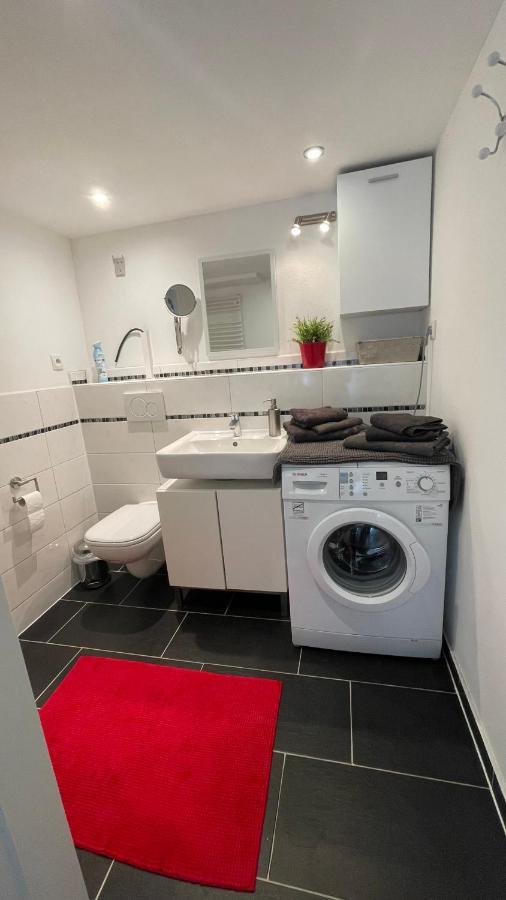 סאן לואיס Appartment Basel מראה חיצוני תמונה